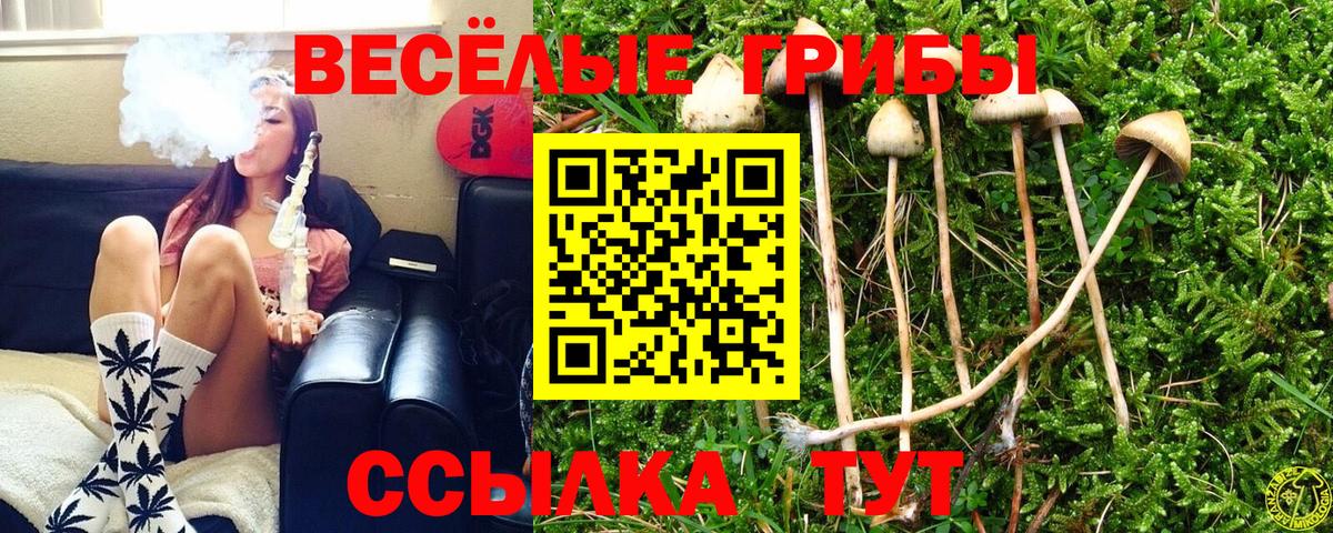 Комсомольск-на-Амуре  Галлюциногенные грибы мухоморы  Галлюциногенные грибы Psilocybe  Вход с VPN 